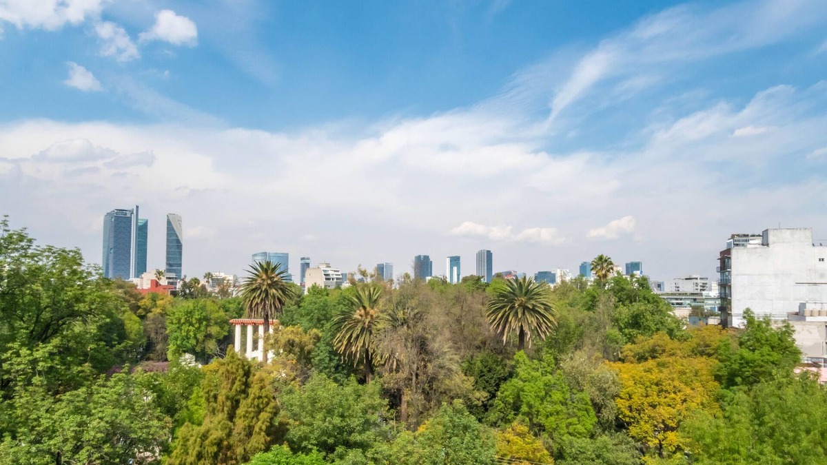 Hipodromo Condo | Big, Bright, Renovated Mexico City Apartment Facing Gorgeous Park in La Condesa