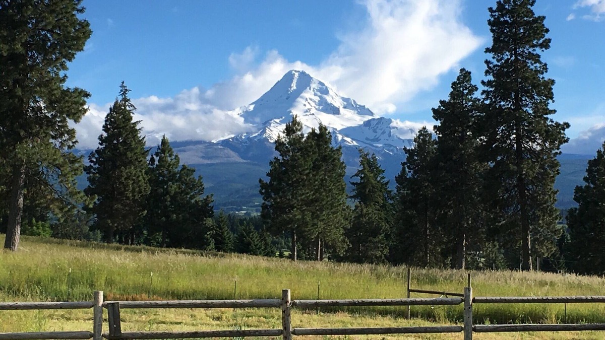 Parkdale House | Big Farm House on Fruit Loop - Great Mountain Views