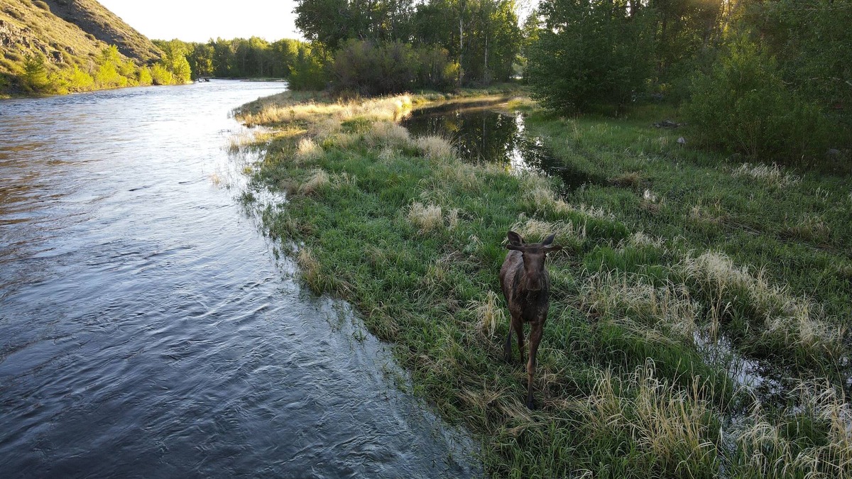 Glen Cabin | Big Hole Riverfront Retreat – A Secluded Fishing Paradise with 4 Cabins
