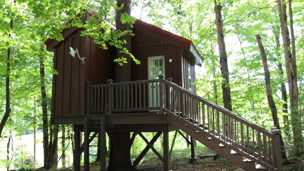 Maplecrest House | Big Hollow Board and Batten House with Nerf Treehouse!