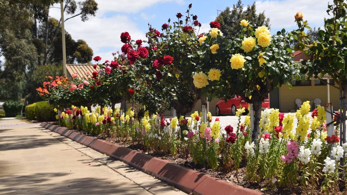 Echuca Hotel | Big River Motel