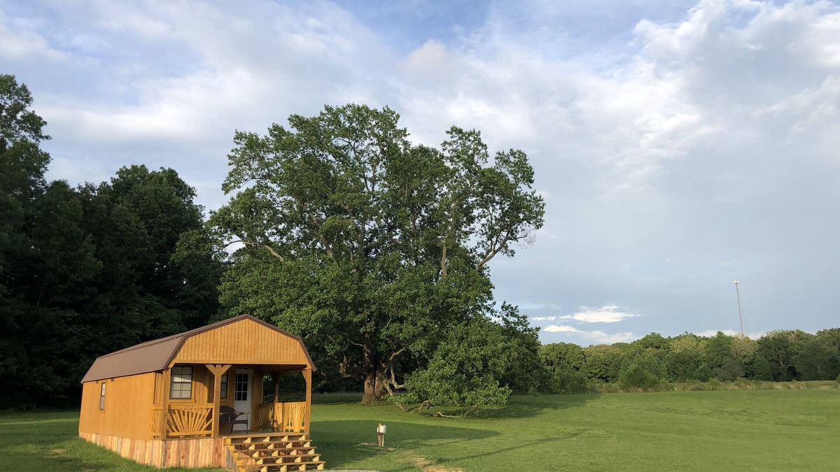 Marion Cabin | Big Tree Little Cabin