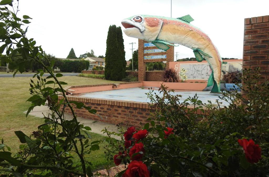 Oberon Hotel | Big Trout Motel