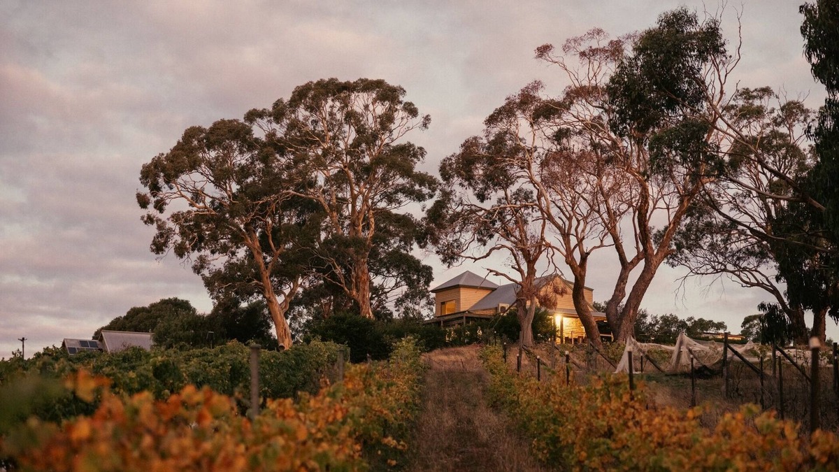 Drummond North Other | Big Vine House on Zig Zag Winery