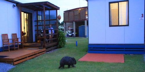 Kelso Resort | BIG4 Kelso Sands Holiday & Native Wildlife Park