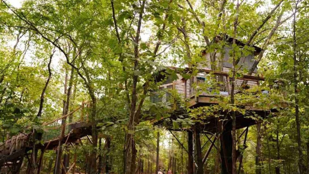 Eufaula Cabin | BIGFOOT’S ENCHANTING TREEHOUSE