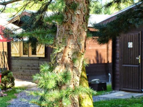 Przewoz House | Bike Camping