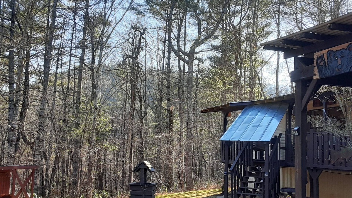 Rabun Gap Cabin | BILLY BEAR -3 BED 2 BATH wifi 3 roku tv,s dvd players sleeps 4