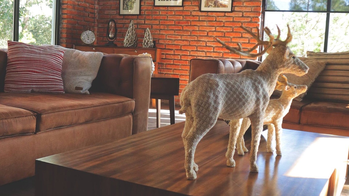 Huasca De Ocampo Cottage | BIMBA country house, heart of the forest, Huasca