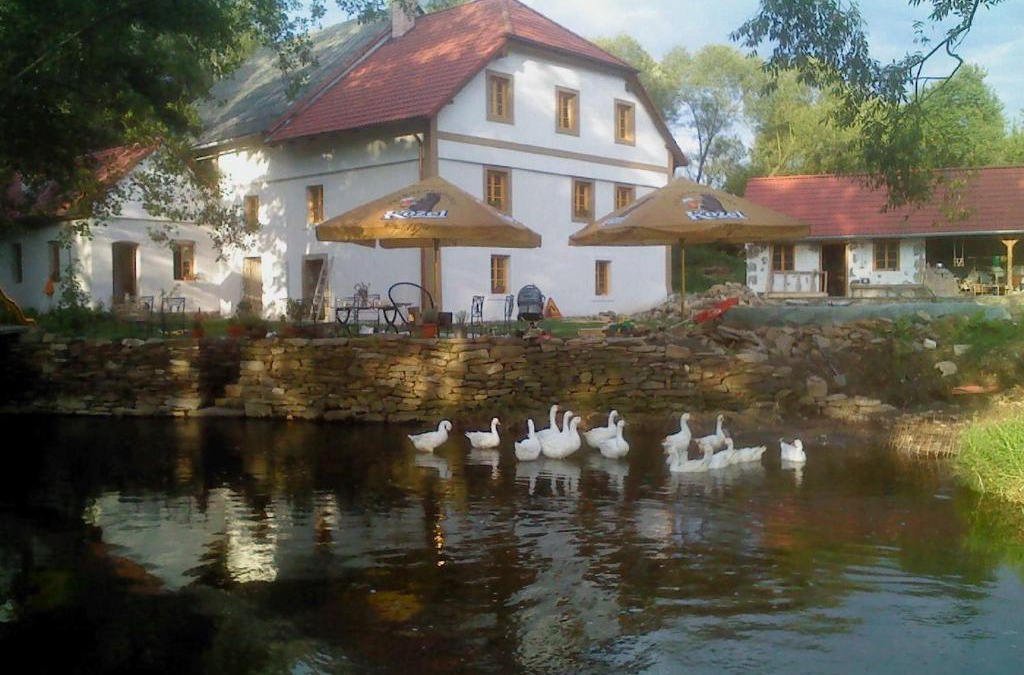 Kamberk House | BioFarma Dolejší Mlýn