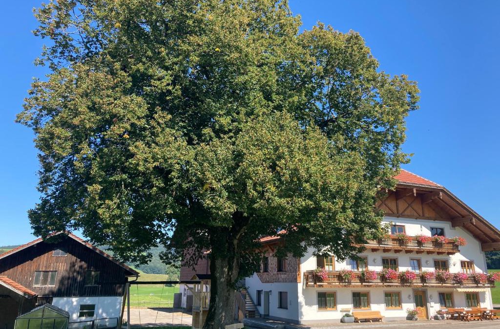 Zell Am Moos Apartment | Biohof-Feichtinger
