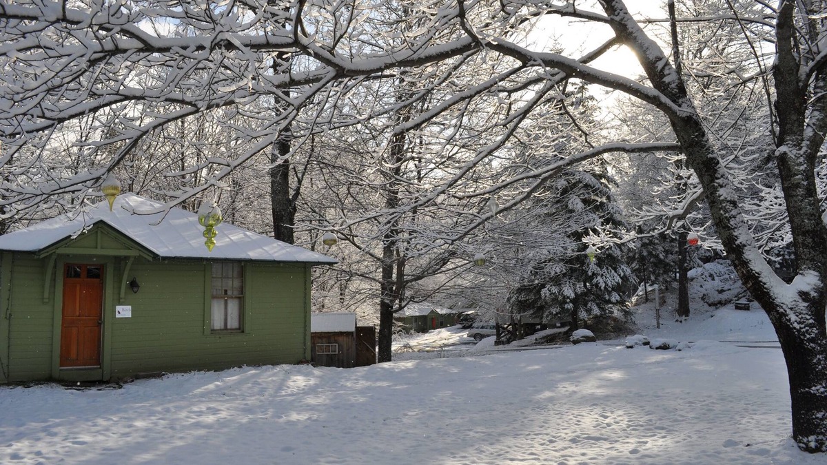 Northfield Cottage | Birch Cottage - Perfect for a short or long stay!
