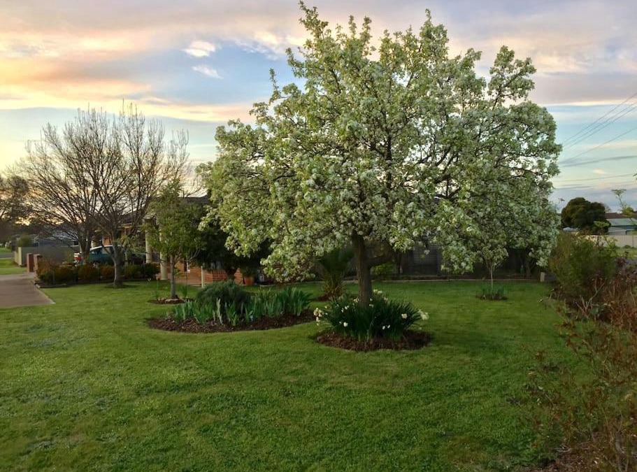 Maryborough Apartment | Bird Abode