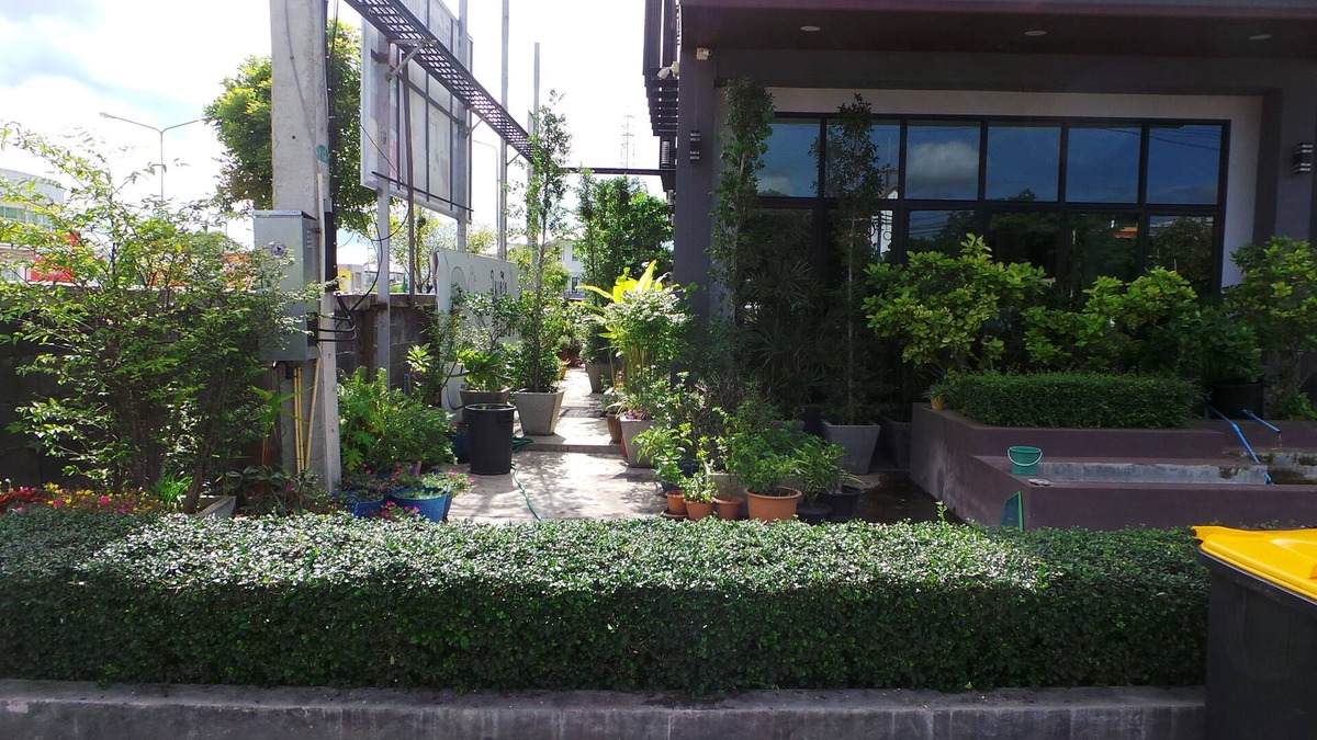 Mukdahan Hotel | Bird Day Boutique Hotel