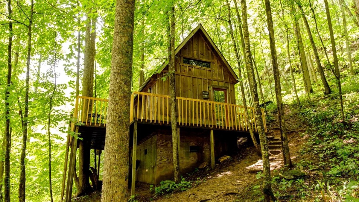 Slade House | Bird Nest Cabin: A Charming Hideaway Close to Natural Bridge, Dining, and Trails