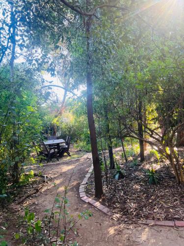 Flora Hill Apartment | Bird Paradise In Bush setting