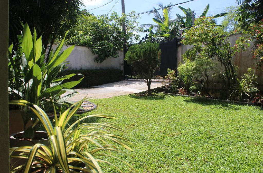 Ragama Bed & Breakfast | Bird's Nest by Natures Bliss