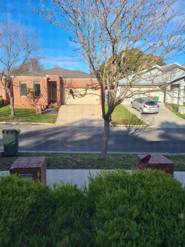 Ballarat East House | Birds on the creek