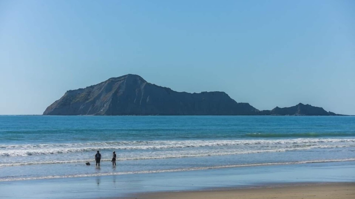 Waimarama Apartment | Birdsnest@PORT O BEIJO -Relaxed Accommodation