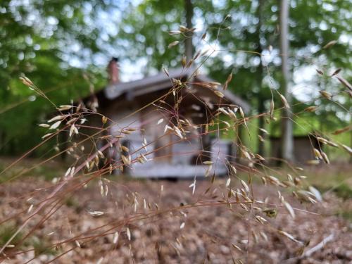 Linderod House | Bjärnhultsgårdens stugor