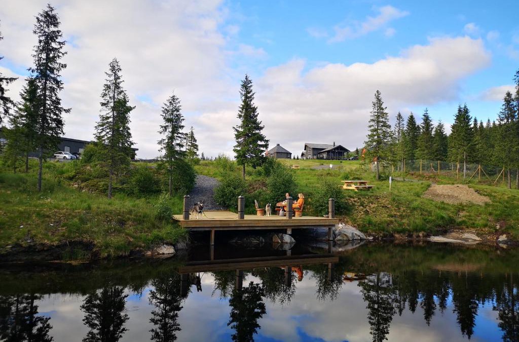 Vefsn Hotel | Blåfjell hundesenter fjellhotell