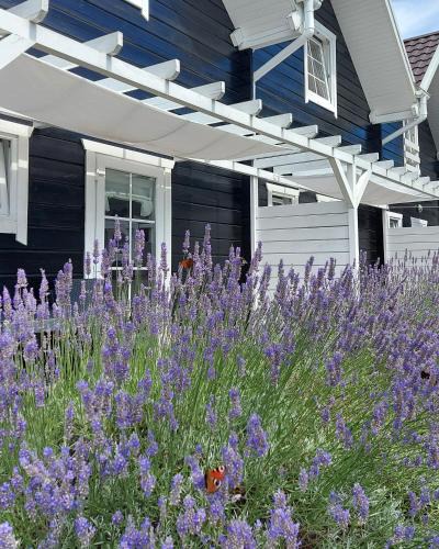 Grzybowo Cabin | Bla Marine Domki nad Morzem