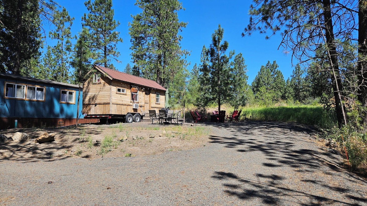 Thorpe Westwood House | Black Bear Bungalow:Cozy tiny home in enchanting wooded Spokane with AC