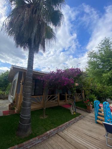 Cirali Villa | Black Cat Villa's