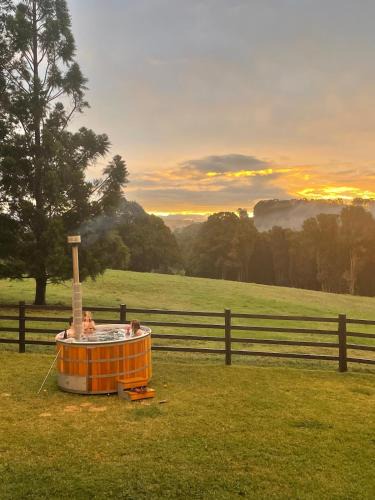 Binna Burra House | Black Cockatoo Bangalow