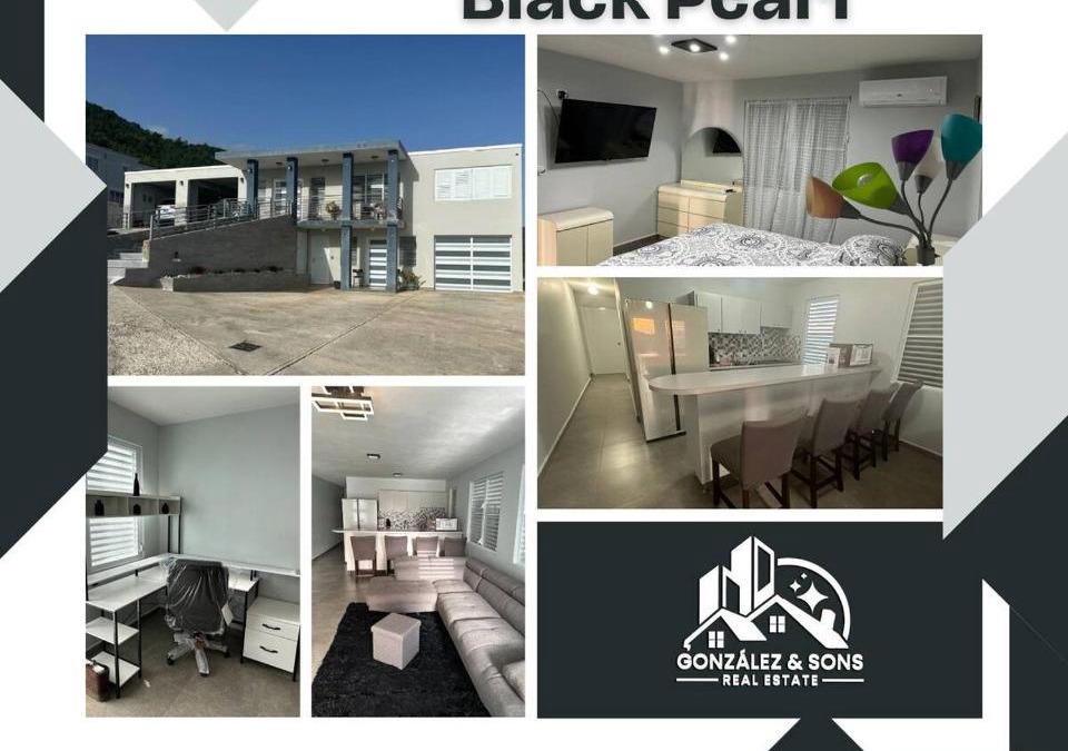 Guayama Apartment | Black Pearl