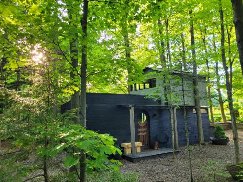 Milton House | Black Pine Tree House