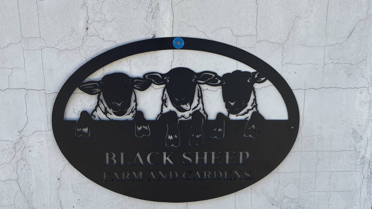Boswell Apartment | Black Sheep Farm and Gardens