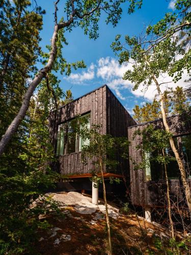 Whitehorse House | Black Spruce - Yellow Door