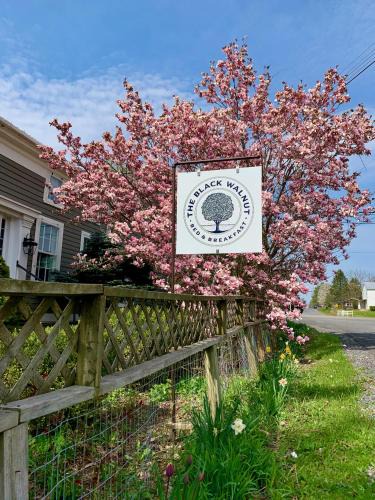 Interlaken Bed & Breakfast | Black Walnut Bed and Breakfast