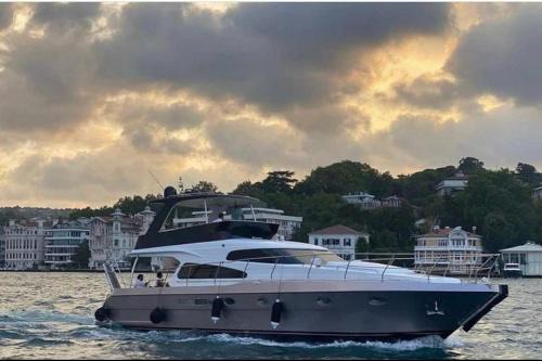 Busserach Boat Rental | Black white