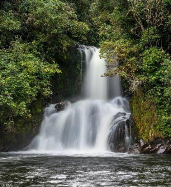 Waimiha Hotel | Blackfern Lodge