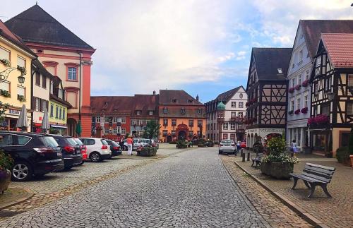 Gengenbach Apartment | Blackforest Home Gengenbach nahe Europapark Rust