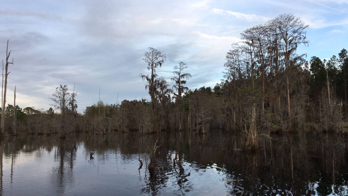 Blackshear House | Blackshear Cabin on the Pond