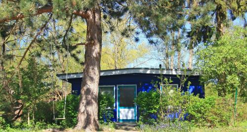 Klein Labenz House | Blauer Bungalow am See mit Boot
