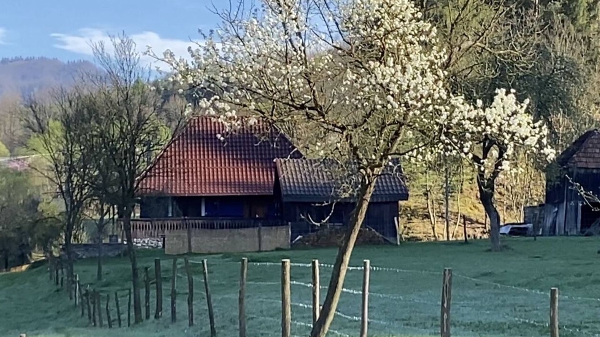 Viseu de Sus House | Blaues Haus im Schönen Weintal, Inmitten Einer Fantastischen Kulturlandschaft