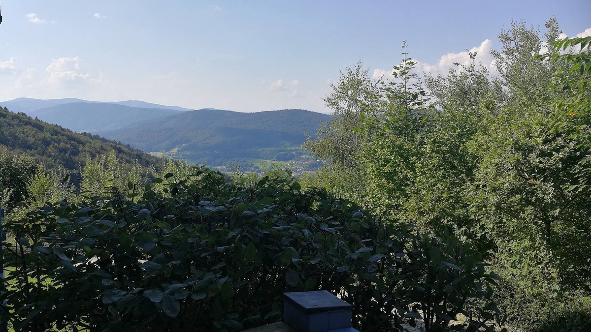 Schofweg Apartment | Blick zum Lallinger Winkel