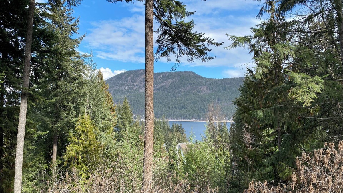 Blind Bay House | Blind Bay Chalet with lake views, privacy, sauna, hikes, golf, 5 mins to beach