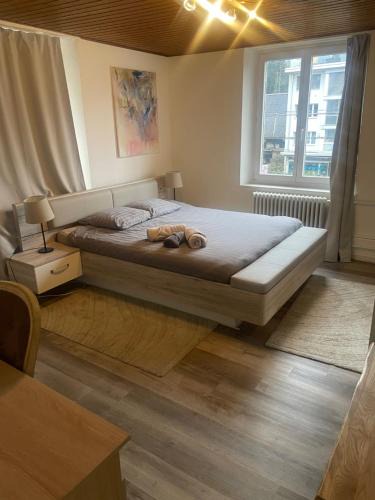 Binningen Apartment | BLISS Basel Residence