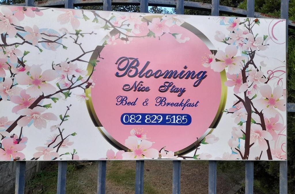 Harrismith Apartment | Blooming Nice Stay
