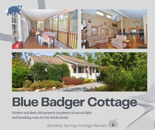 Berkeley Springs Ski Chalet | Blue Badger Cottage -Wifi, Fire Pit, Fireplace, Screen Porch, Game Room, King Bed, Grill