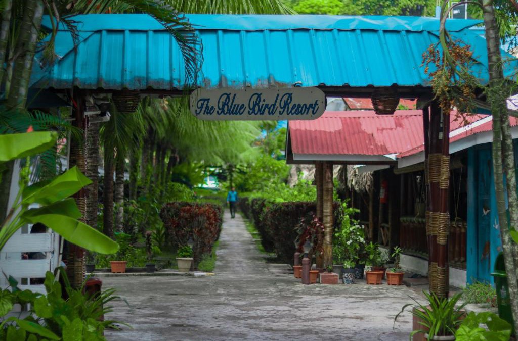 Havelock Island Resort | Blue Bird Resort