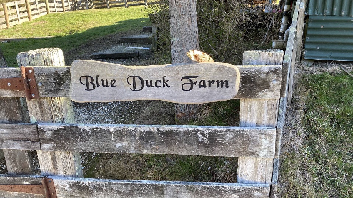 Kaikoura District House | Blue Duck Valley Woolshed
