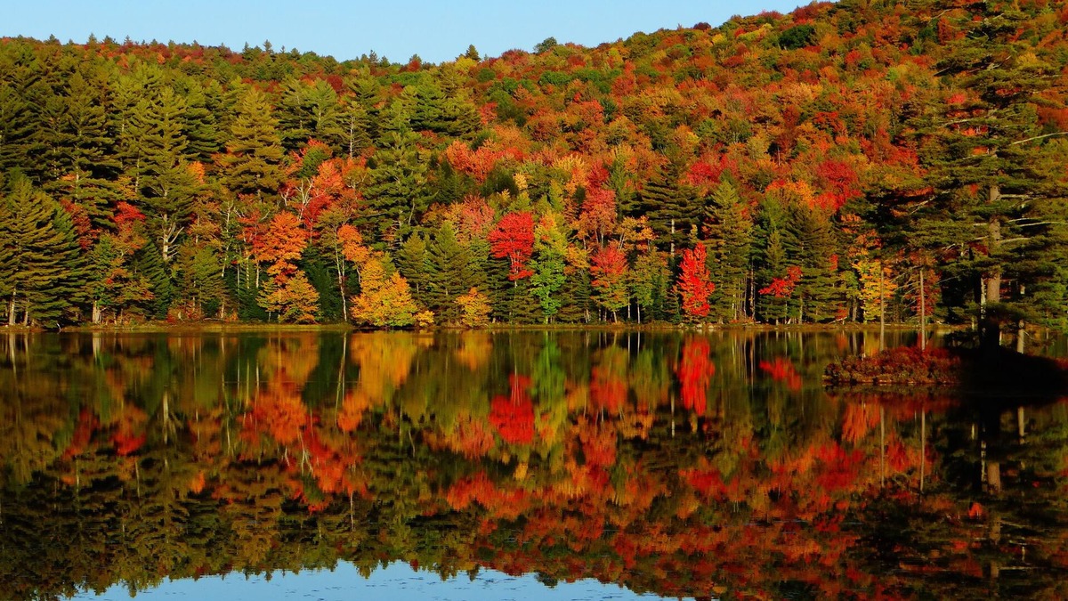 Londonderry Bed & Breakfast | Blue Gentian Lodge at Magic Mountain