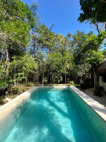 Chemuyil Cabin | Blue Monkey Chemuyil