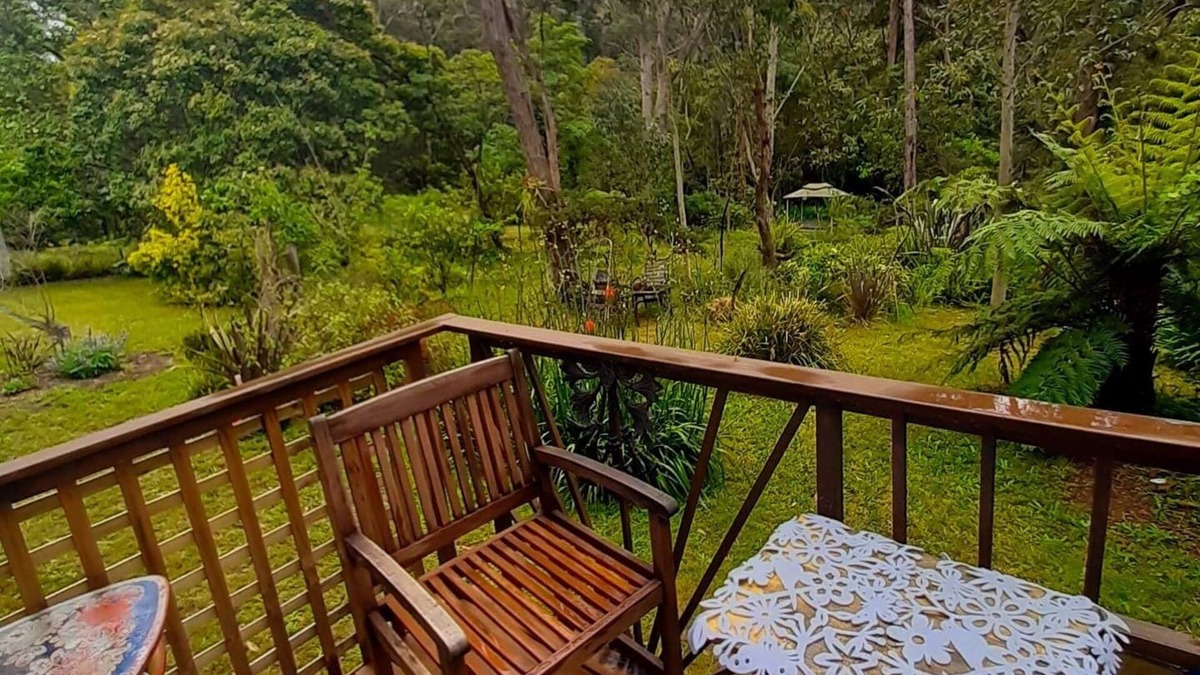 Hazelbrook Apartment | Blue Mountains studio, wild native garden full of birds, week-long stay 30% off